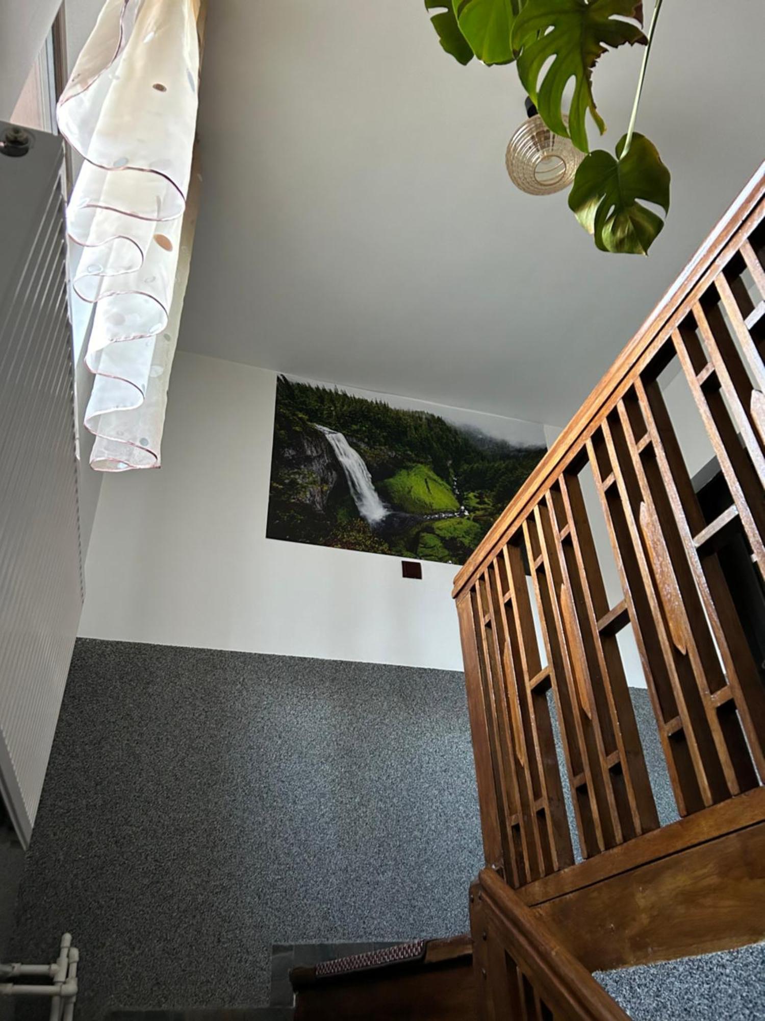 Casa Raraului Apartment Câmpulung Moldovenesc Exterior foto
